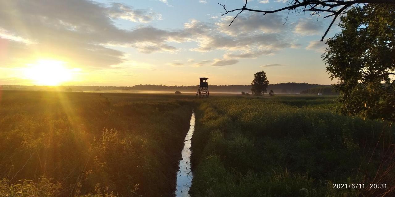 Idee Fixe Rybna Lägenhet Tarnowskie Góry Exteriör bild